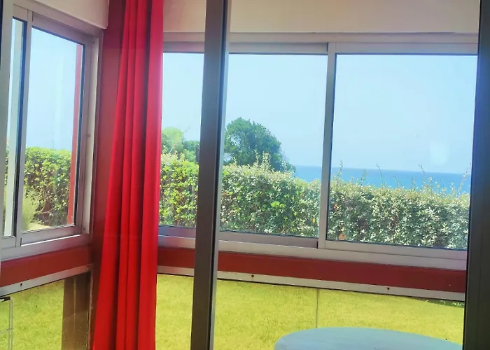 Agreable Face A L'ocean Appartement Anglet